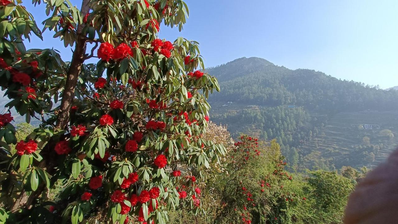 Chiraiyya Cottage Pangot Nainital Exterior foto